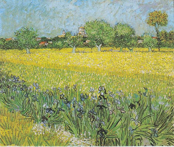 Vincent Van Gogh View of Arles with irises in the foreground Spain oil painting art